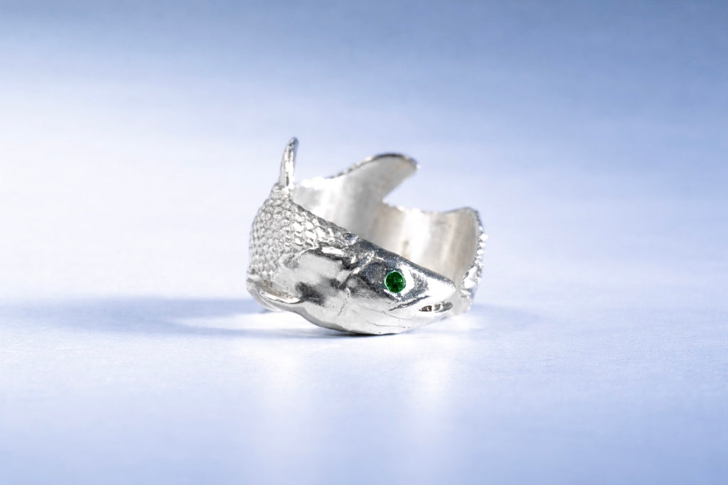 ANILLO CELACANTO