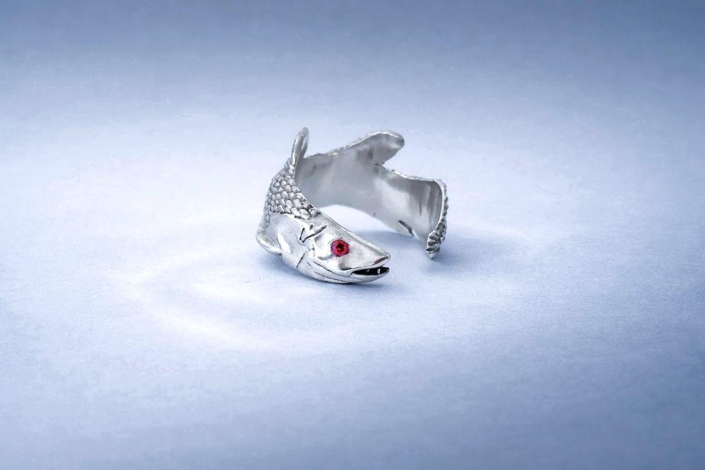 ANILLO CELACANTO
