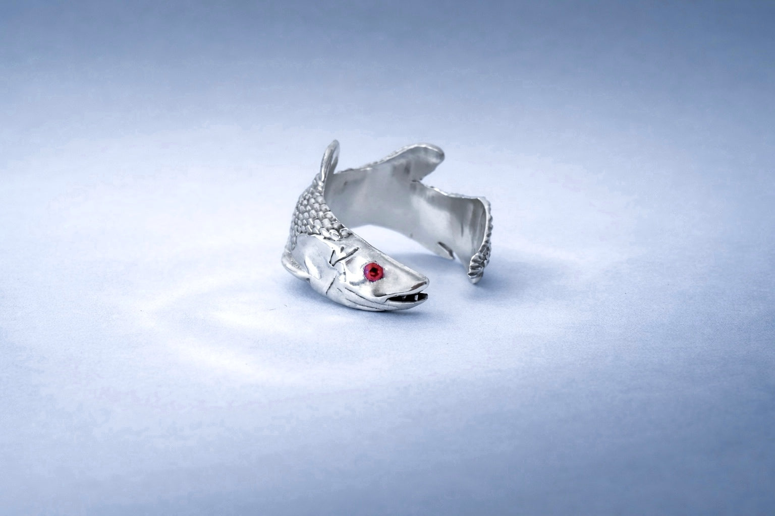ANILLO CELACANTO