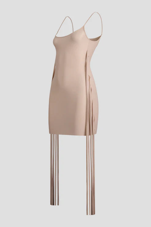 LACED SKIN DRESS