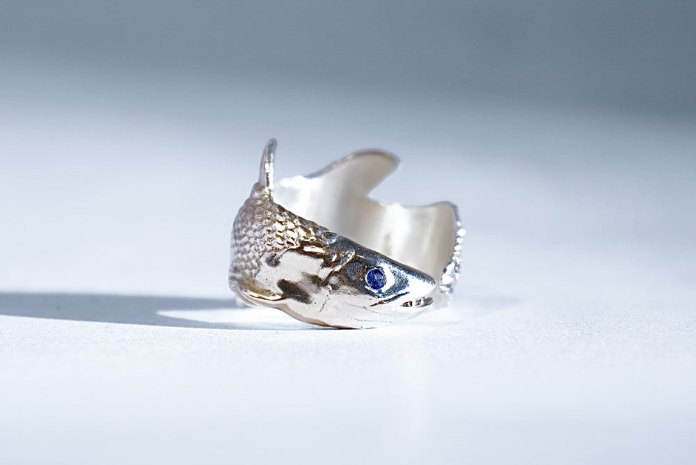 ANILLO CELACANTO
