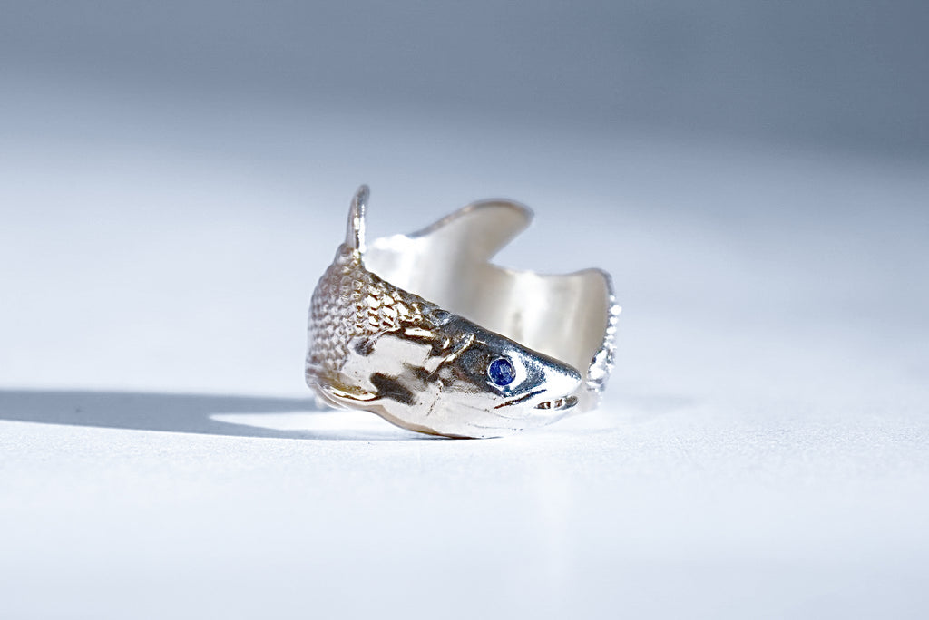 ANILLO CELACANTO