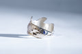 ANILLO CELACANTO