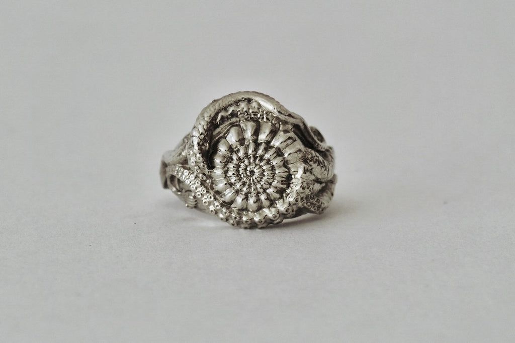 ANILLO MOLLUSKA