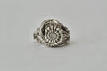 ANILLO MOLLUSKA