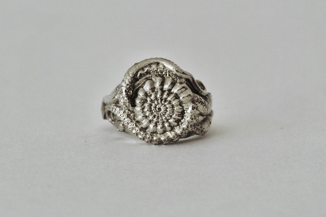 ANILLO MOLLUSKA