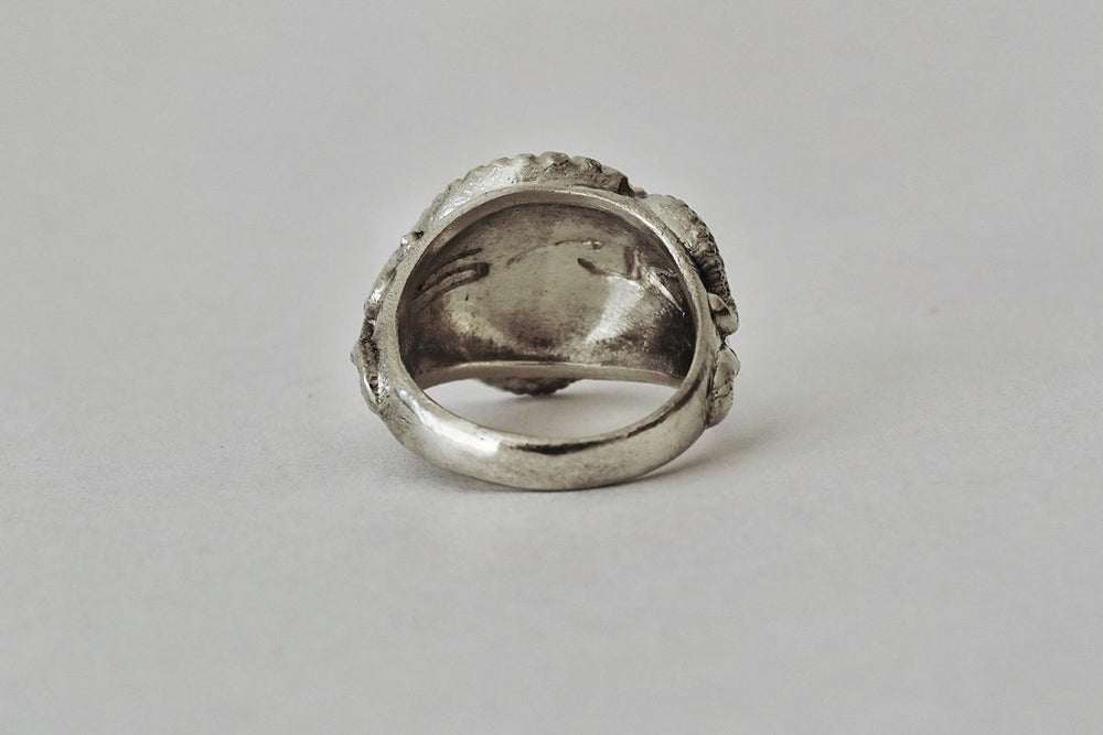 ANILLO MOLLUSKA