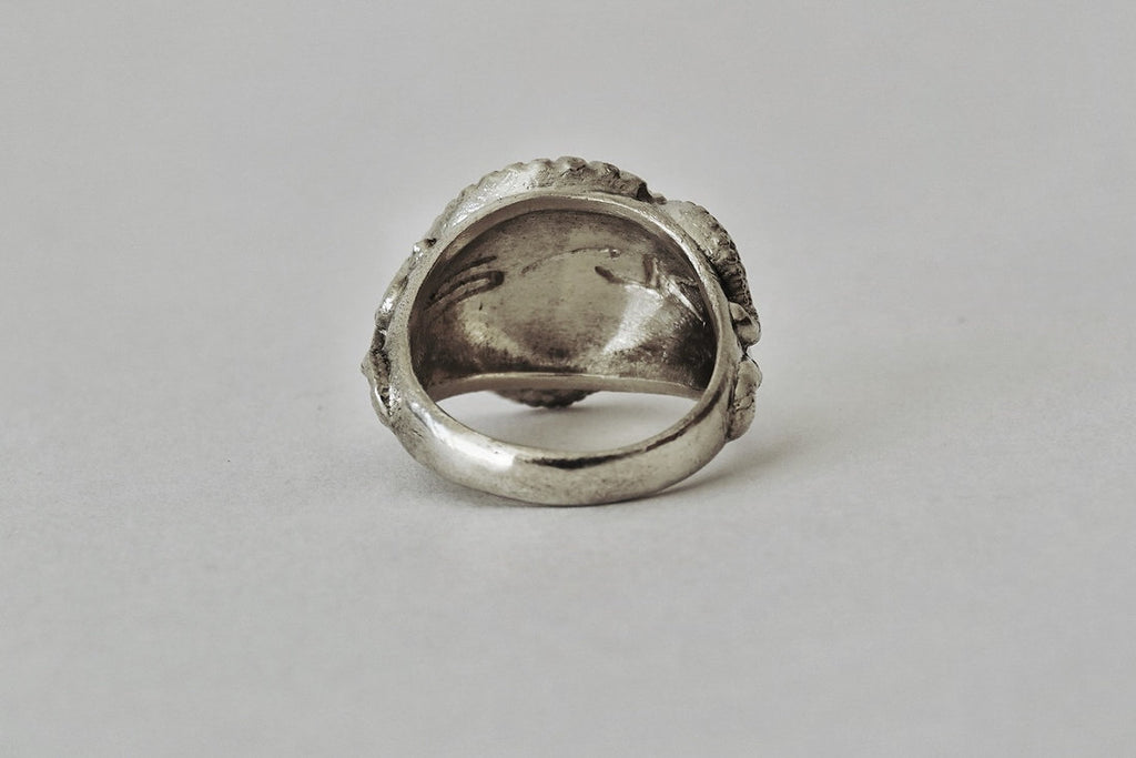 ANILLO MOLLUSKA