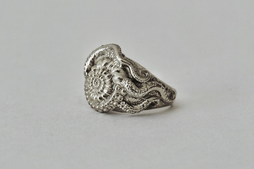ANILLO MOLLUSKA