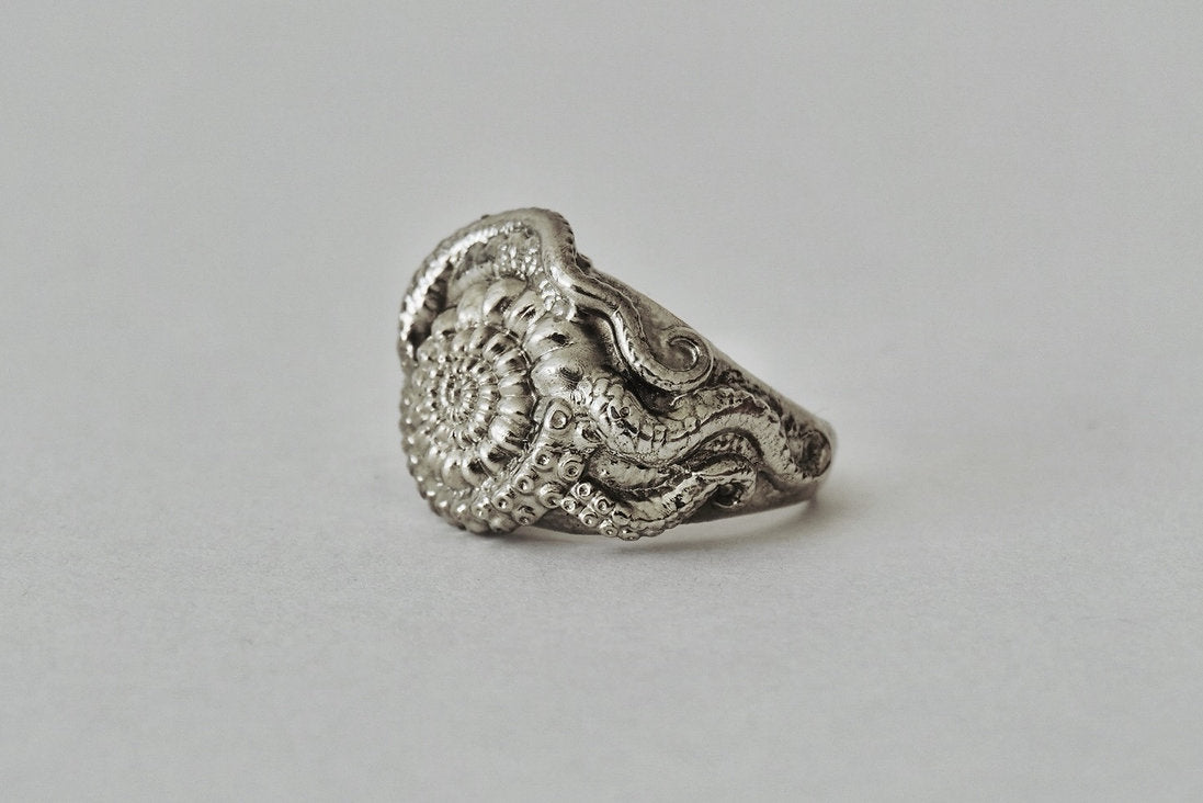 ANILLO MOLLUSKA